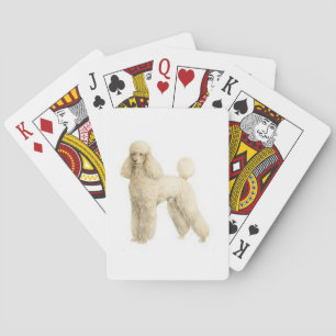 Jeu De Cartes Poodle — Clip de chiot