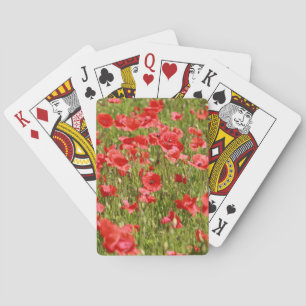 Jeu De Cartes Poppy field