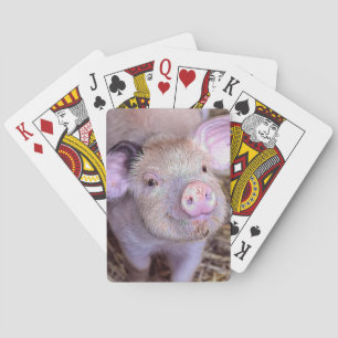Jeu De Cartes Porc