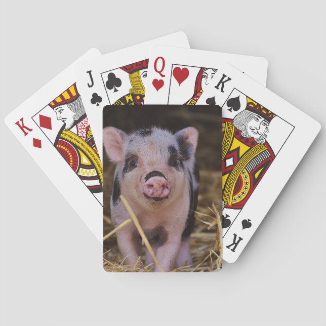 Jeu De Cartes Porc mignon doux (dos)