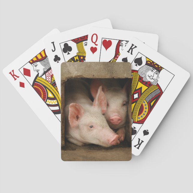 Jeu De Cartes Porcelets curieux (dos)