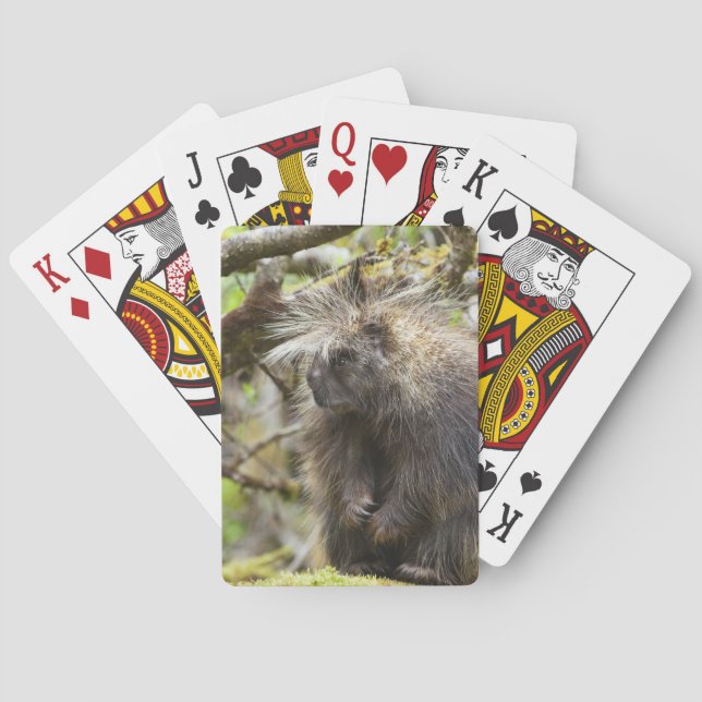 Jeu De Cartes Porcupine déterminé (dos)