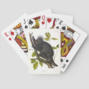 Jeu De Cartes Porcupine nord-américaine ou canadienne par Audubo