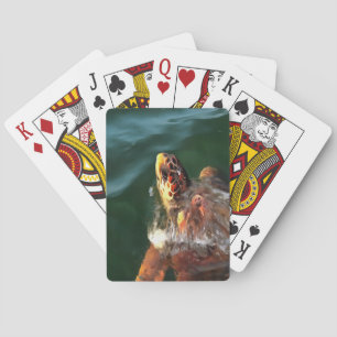 Jeu De Cartes Portrait artistique de la tortue luge