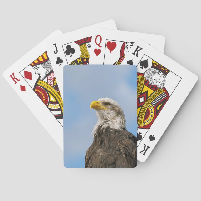 Jeu De Cartes Portrait d'aigle américain dans la faune (dos)