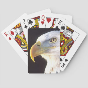 Jeu De Cartes Portrait d'aigle royal, Haliaeetus leucocephalus,