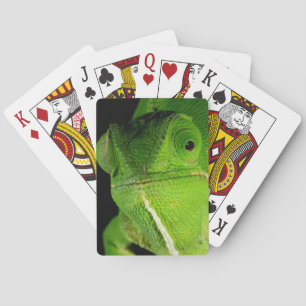 Jeu De Cartes Portrait de caméléon à cou plat