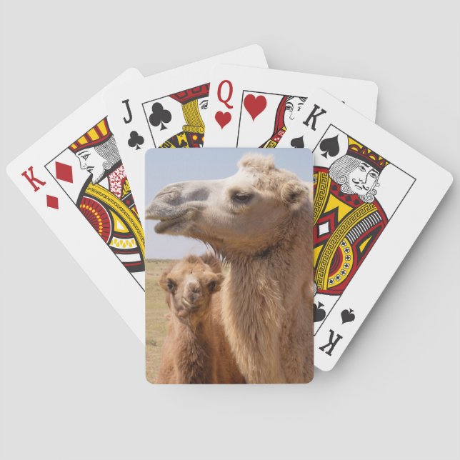 Jeu De Cartes Portrait de chameau de Bactriane (dos)