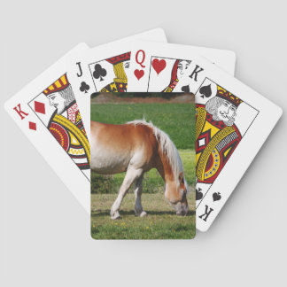 Jeu De Cartes Portrait de cheval