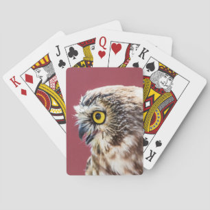 Jeu De Cartes Portrait de la Chouette du Nord