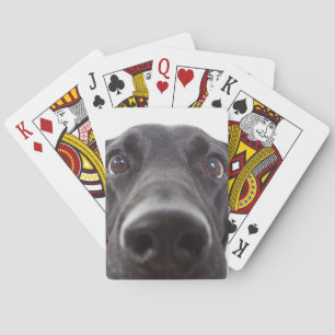 Jeu De Cartes Portrait de la collection Black Labrador