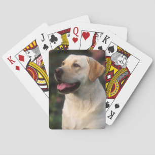 Jeu De Cartes Portrait De Labrador Retriever, Hilton