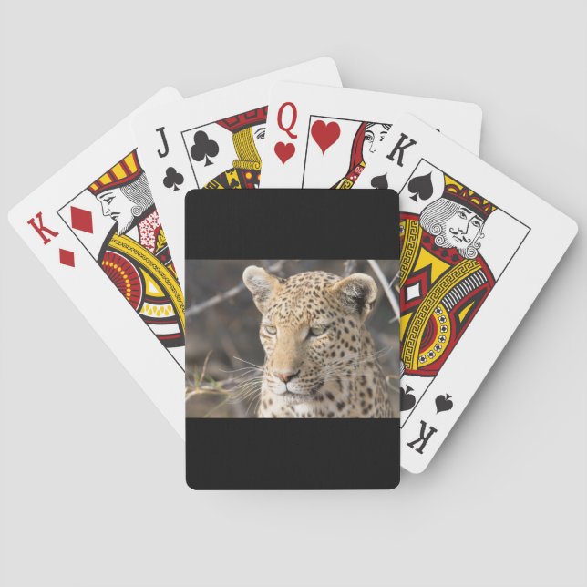 Jeu De Cartes Portrait de Léopard (dos)