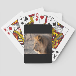Jeu De Cartes Portrait de Lion
