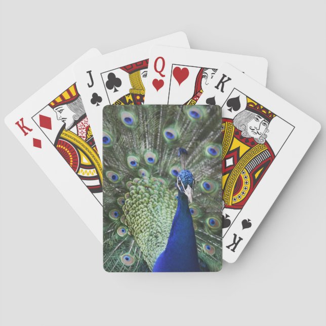 Jeu De Cartes Portrait de paon avec des plumes (dos)