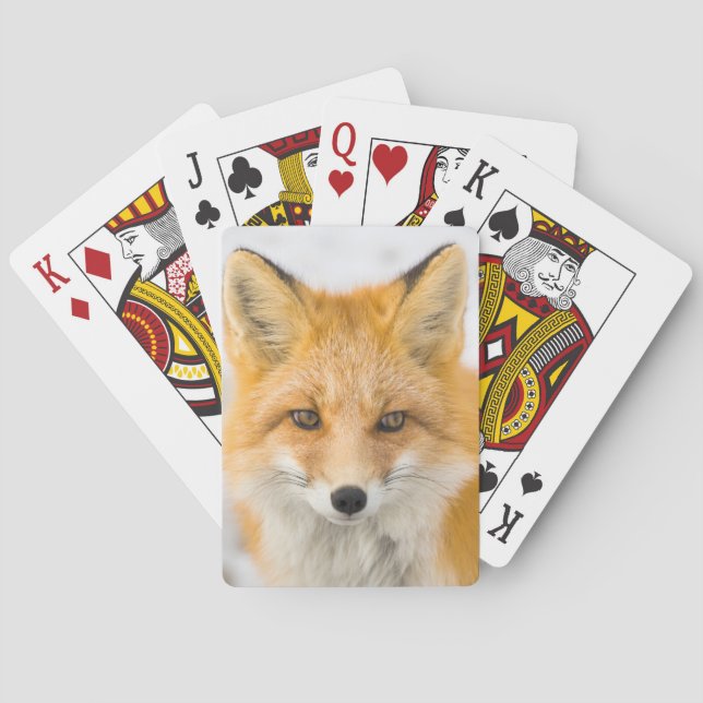 Jeu De Cartes Portrait de renard roux (dos)