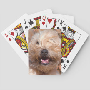 Jeu De Cartes Portrait de Terrier roux à revêtement souple