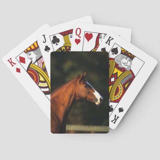 Jeu De Cartes Portrait de tête de cheval pur-sang (dos)
