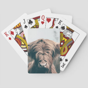 Jeu De Cartes Portrait de vache Highland