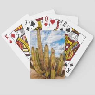 Jeu De Cartes Portrait de vieux cactus, Mexique