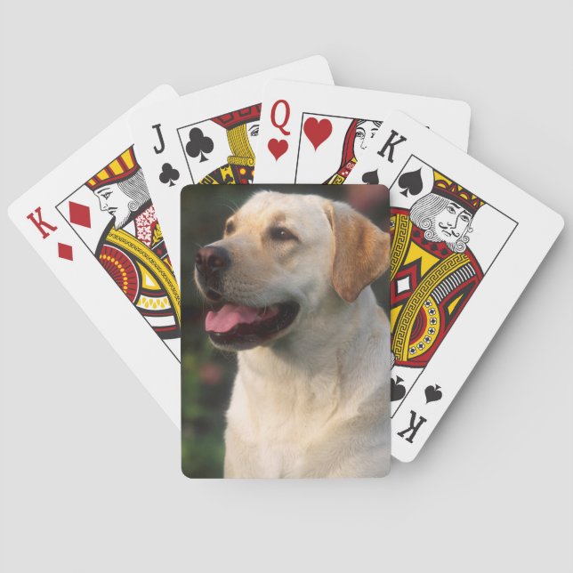 Jeu De Cartes Portrait du Labrador Retriever, Hilton (dos)