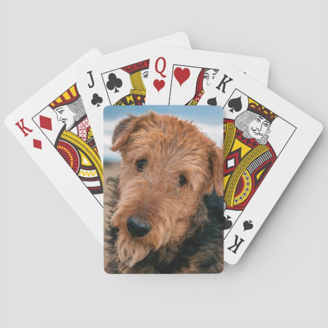 Jeu De Cartes Portrait d'un Airedale Terrier (dos)
