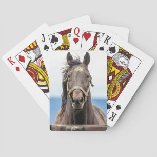 Jeu De Cartes Portrait d'un cheval