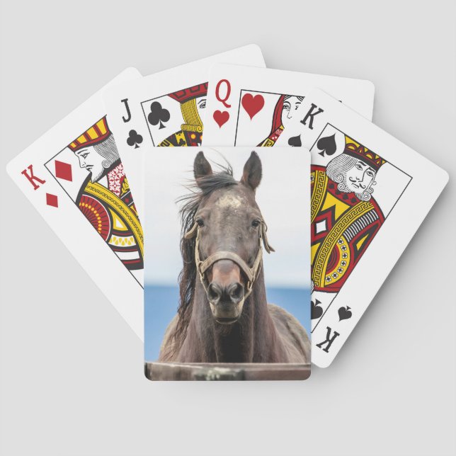 Jeu De Cartes Portrait d'un cheval (dos)