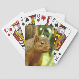 Jeu De Cartes Portrait d'un Écureuil Photographie de la Nature e