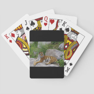 Jeu De Cartes Portrait photo d'un tigre de Sibérie