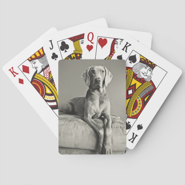 Jeu De Cartes Portrait Weimaraner (dos)