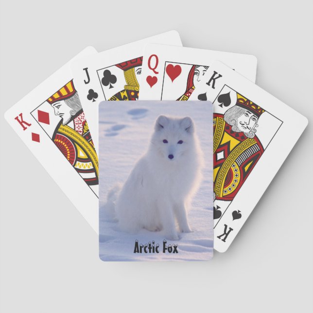 Jeu De Cartes Pose d'hiver de Fox blanc de l'Alaska arctique (dos)