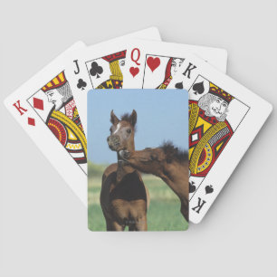 Jeu De Cartes Poulains en train de jouer 2