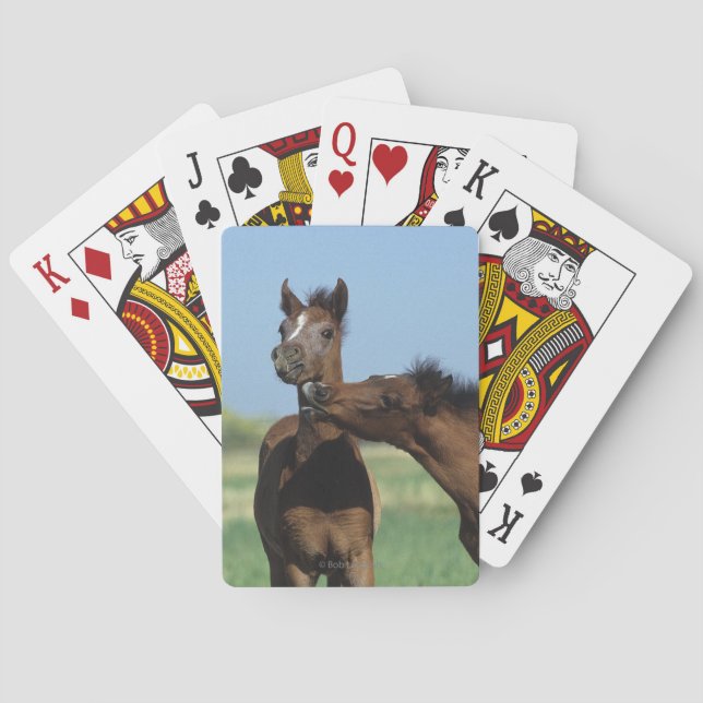 Jeu De Cartes Poulains en train de jouer 2 (dos)