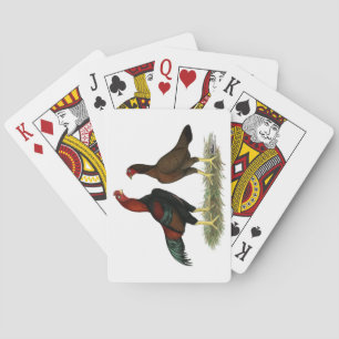 Jeu De Cartes Poules Aseel Noir Rouge