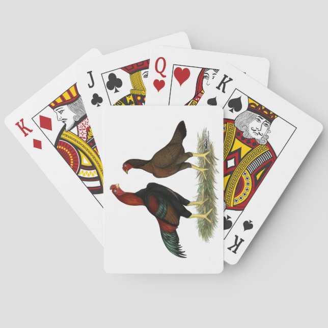 Jeu De Cartes Poules Aseel Noir Rouge (dos)