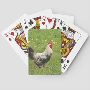 Jeu De Cartes poulet, coq, animal, oiseau, ferme, agriculture,