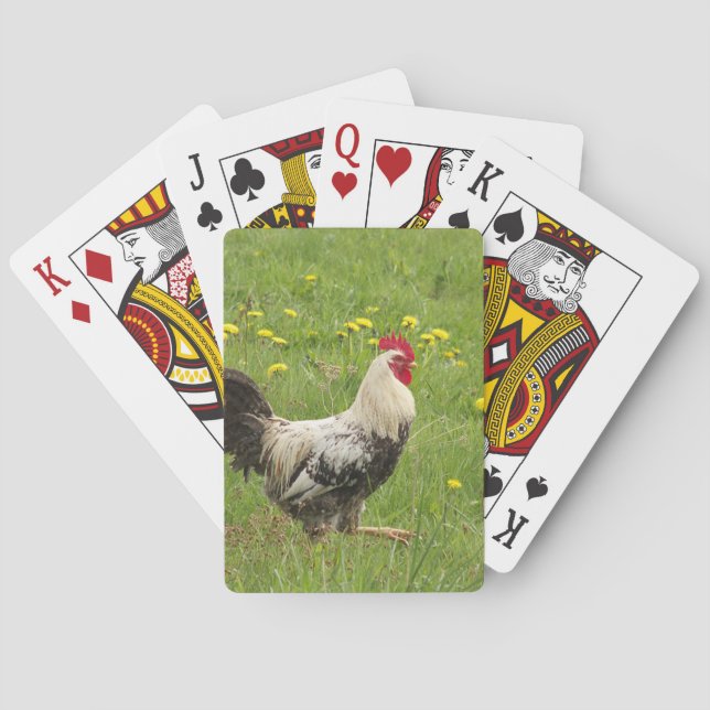 Jeu De Cartes poulet, coq, animal, oiseau, ferme, agriculture, (dos)
