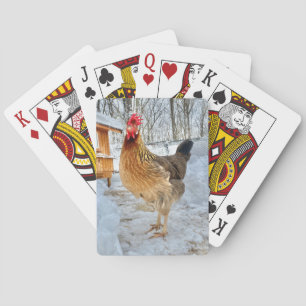 Jeu De Cartes Poulet Dignifié
