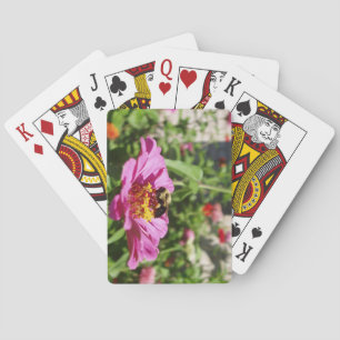 Jeu de cartes pour un atterrissage
