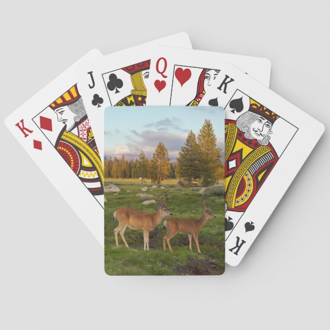 Jeu De Cartes Pré Tuolumne, Yosemite (dos)
