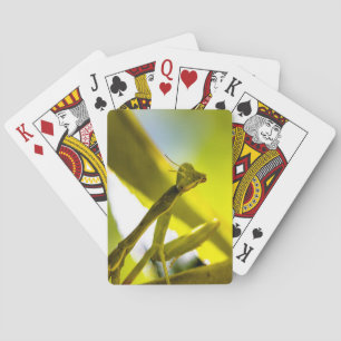 Jeu De Cartes Prier Mantis Jouer aux cartes