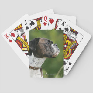 Jeu De Cartes Profil de chien de boxe