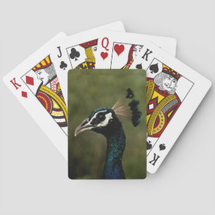 Jeu De Cartes Profil de Peacock