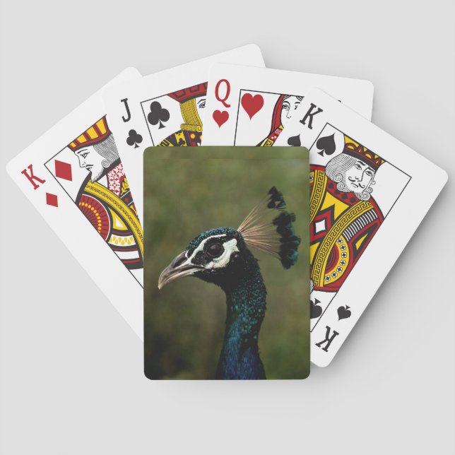 Jeu De Cartes Profil de Peacock (dos)