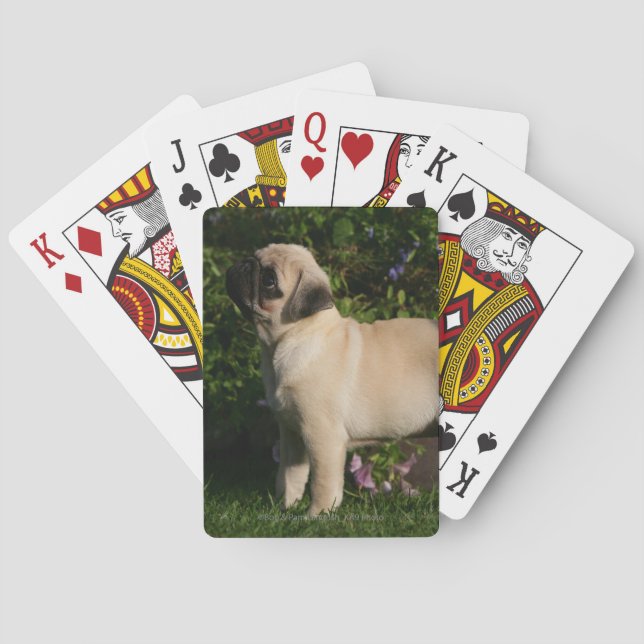 Jeu De Cartes Profil de Pug Fauve (dos)