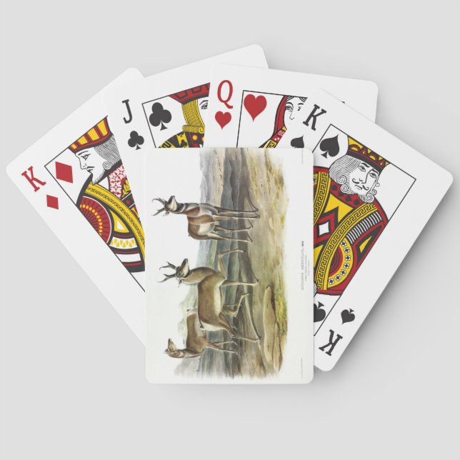 Jeu De Cartes Pronghorn (Antelope à cornes longues) par Audubon (dos)