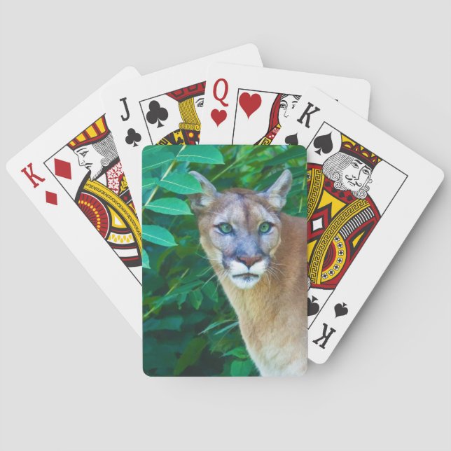 Jeu De Cartes Puma dans la jungle (dos)