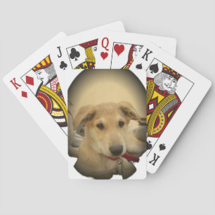 Jeu De Cartes Puppy Love : Le meilleur ami de l'homme