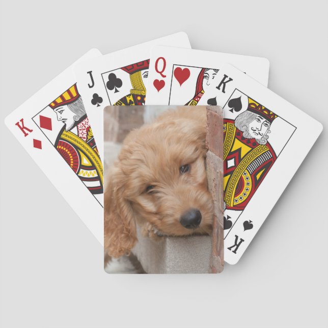 Jeu De Cartes Puppy Pékin (dos)
